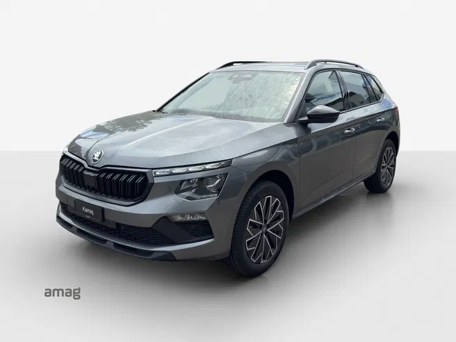 Škoda Kamiq Dynamic (Netto)