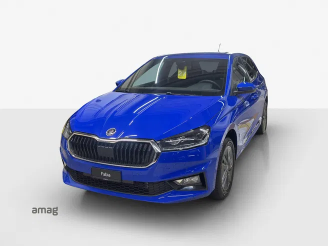 Škoda Fabia Dynamic (Netto)