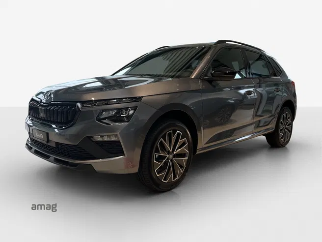 Škoda Kamiq Dynamic (Netto)