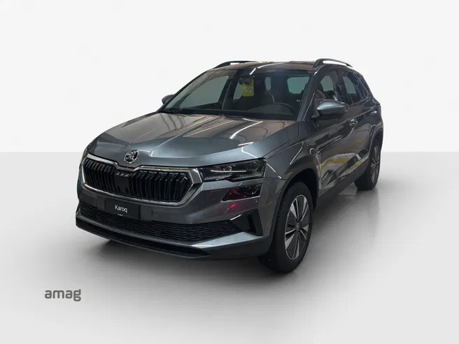Škoda Karoq Dynamic (Netto)