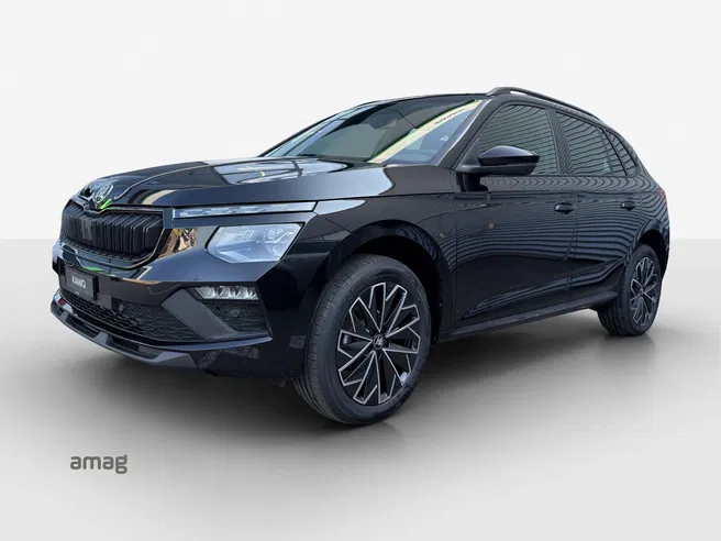 Škoda Kamiq Dynamic (Netto)