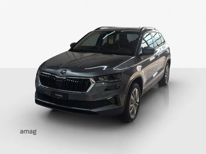 Škoda Karoq DY 1.5 TSI 150PS 7DSG