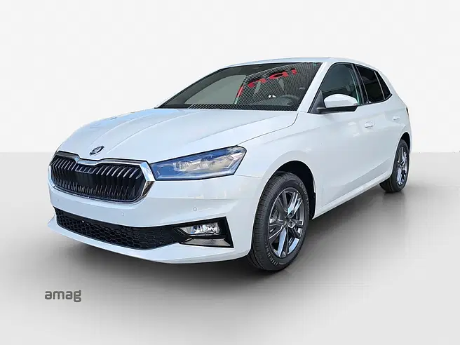 Škoda Fabia Dynamic (Netto)