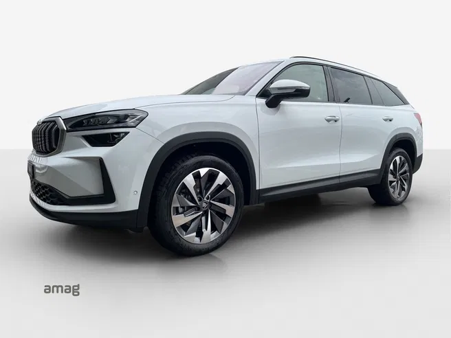 Škoda Kodiaq Dynamic (Netto)