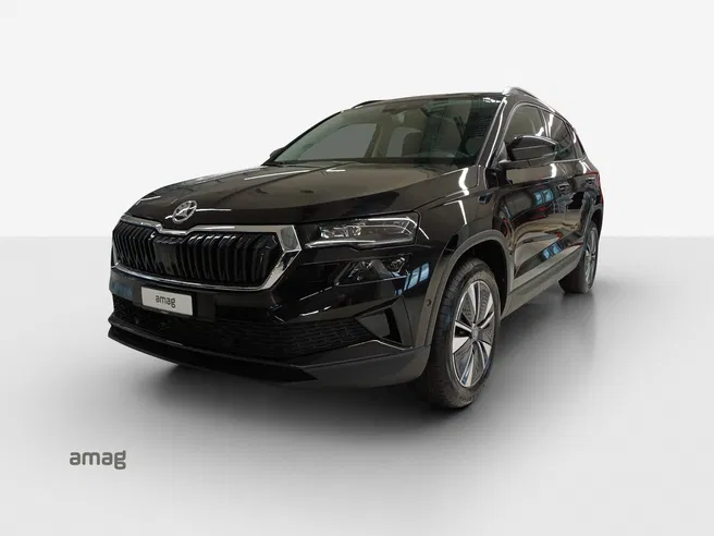 Škoda Karoq Dynamic (Netto)