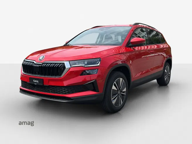 Škoda Karoq Dynamic (Netto)