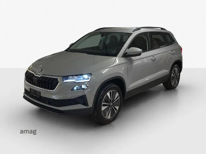 Škoda Karoq Dynamic (Netto)