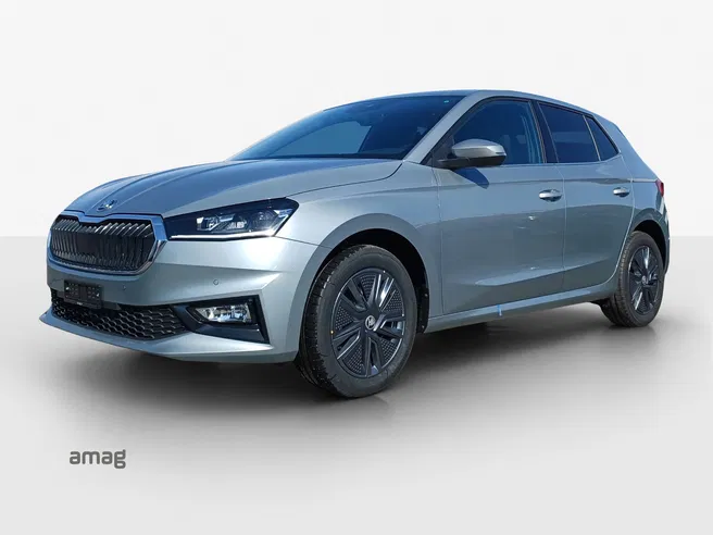 Škoda Fabia Dynamic (Netto)