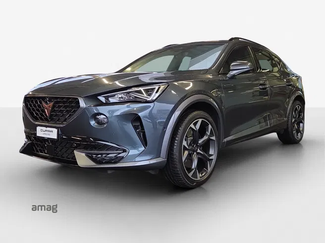 Cupra Formentor VZ 2.0TSI 310PS 7D 4