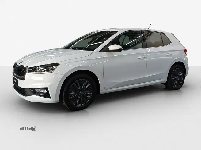 Škoda Fabia Dynamic (Netto)