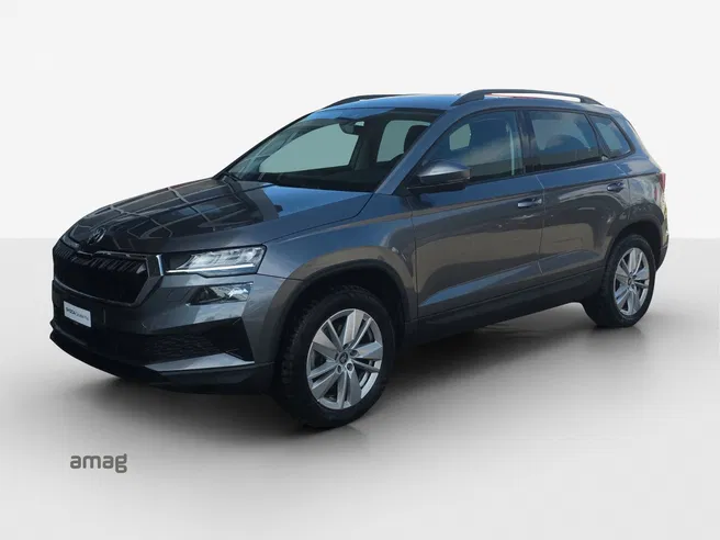 Škoda Karoq Selection