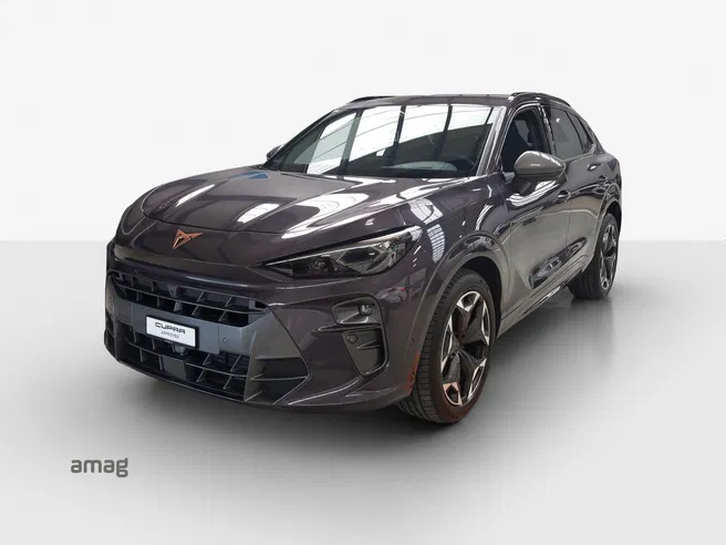 Cupra CUPRA TERRAMAR 4DRIVE