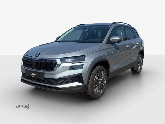 Škoda Karoq Dynamic (Netto)