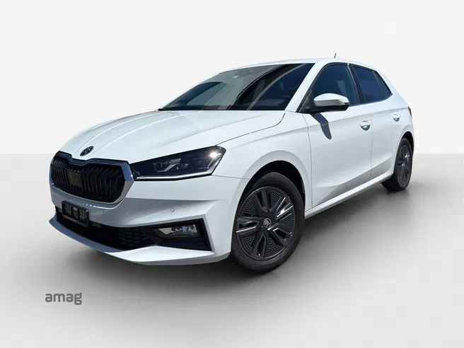 Škoda Fabia Dynamic (Netto)