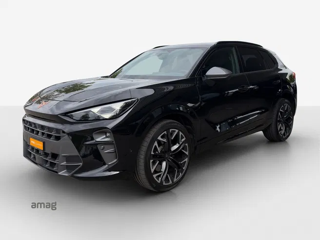 Cupra CUPRA TERRAMAR 4DRIVE