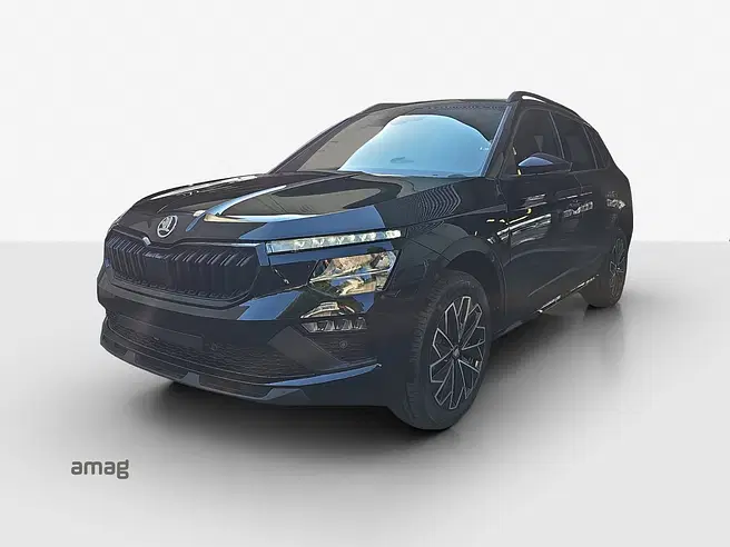 Škoda Kamiq Dynamic (Netto)