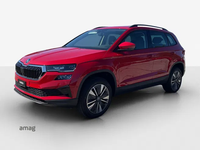 Škoda Karoq Dynamic (Netto)