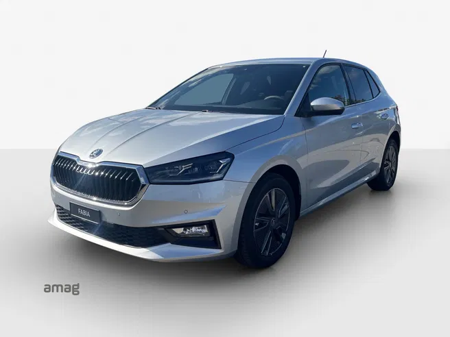 Škoda Fabia Dynamic (Netto)