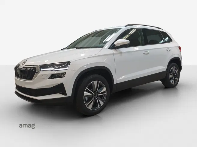 Škoda Karoq Dynamic (Netto)