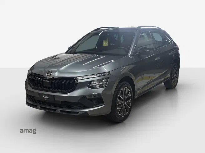 Škoda Kamiq Dynamic (Netto)