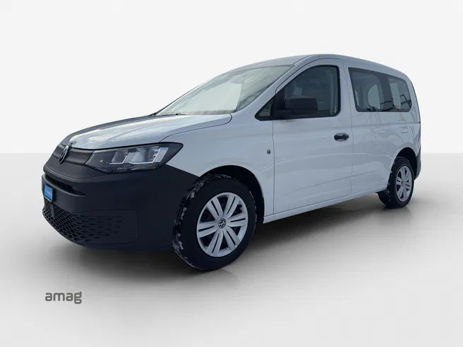 VW Nutzfahrzeuge Caddy Cargo En 1.5TSI 114 DSG
