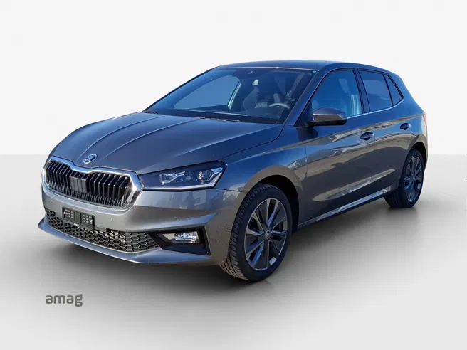 Škoda Fabia Dynamic (Netto)