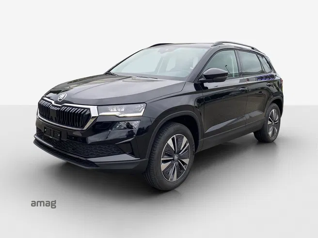Škoda Karoq Dynamic (Netto)