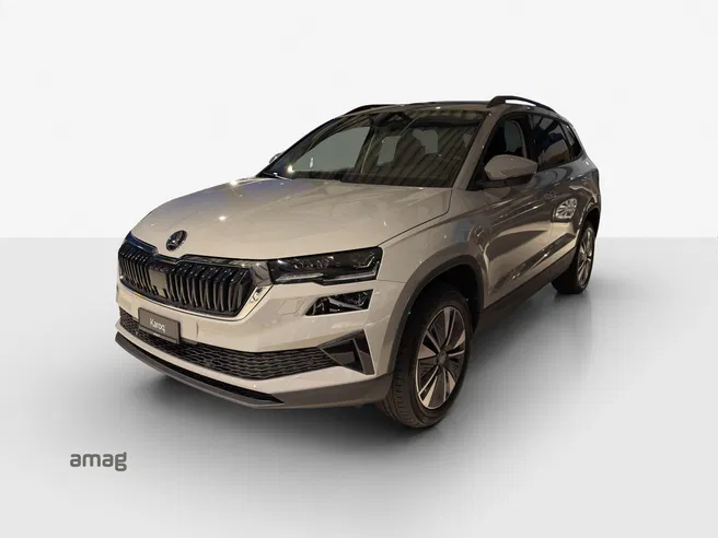 Škoda Karoq Dynamic (Netto)