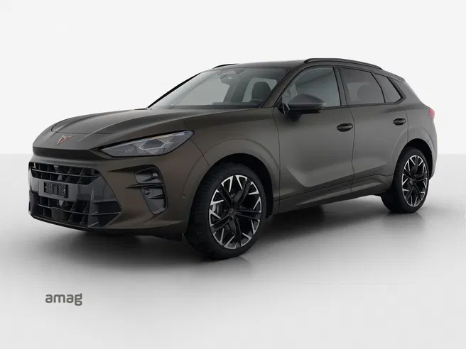 Cupra CUPRA TERRAMAR 4DRIVE