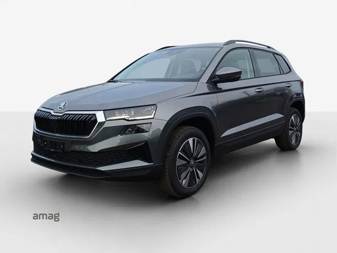 Škoda Karoq Dynamic (Netto)