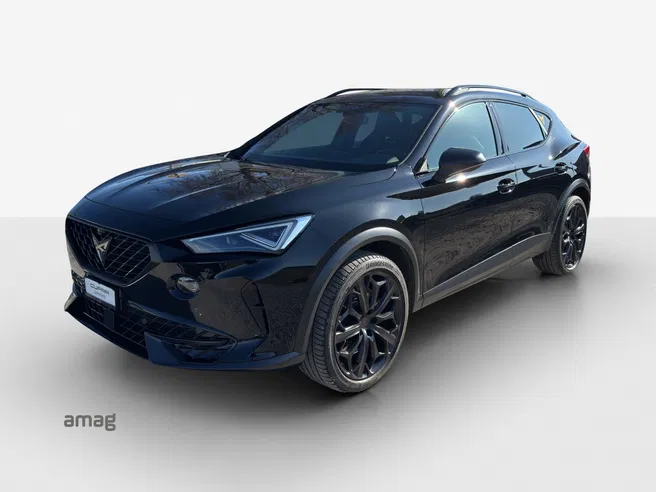 Cupra CUPRA FORMENTOR 2.0 TSI 245PS TRIBE EDITION (netto)