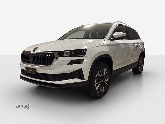 Škoda Karoq Dynamic (Netto)