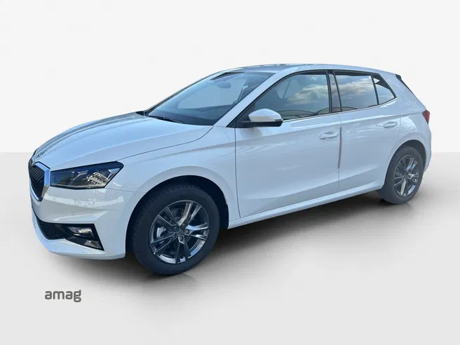 Škoda Fabia Dynamic (Netto)