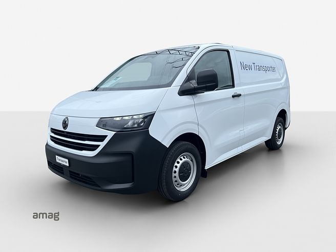 VW Nutzfahrzeuge Transporter Kastenwagen RS 3100mm