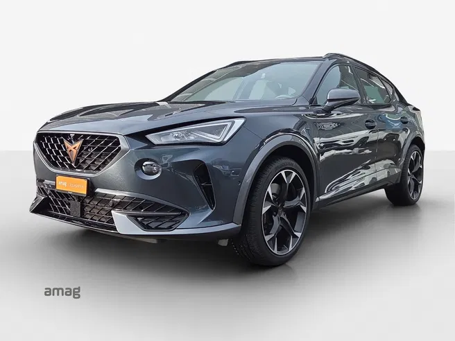 Cupra Formentor VZ 2.0TSI 310PS 7D 4