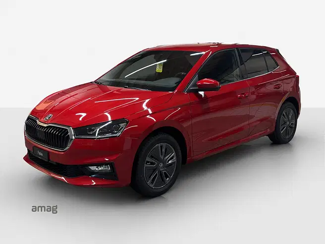 Škoda Fabia Dynamic (Netto)