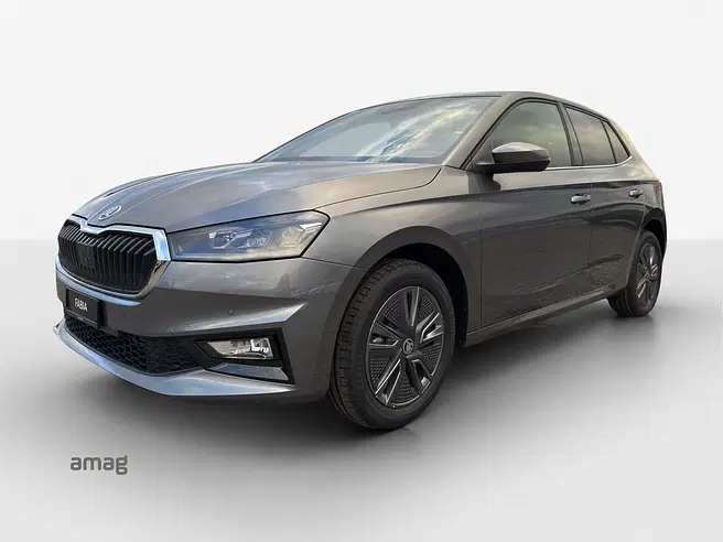 Škoda Fabia Dynamic (Netto)