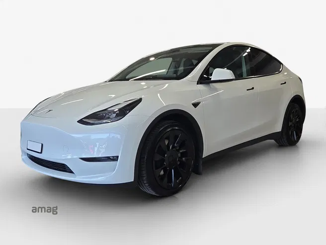 Tesla Model Y Performance