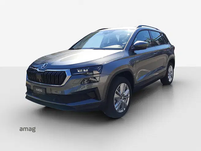 Škoda Karoq Selection