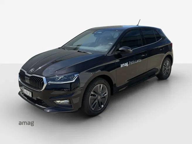Škoda Fabia Dynamic (Netto)