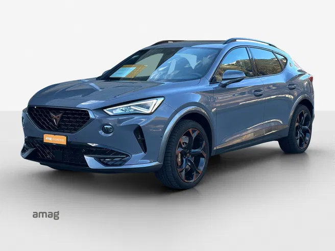 Cupra Formentor VZ 2.0TSI 310PS 7D 4