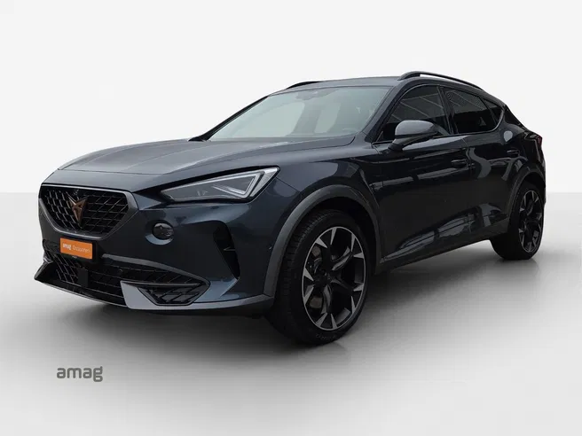 Cupra Formentor VZ 2.0TSI 310PS 7D 4