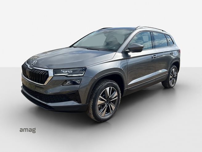 Škoda Karoq Dynamic (Netto)