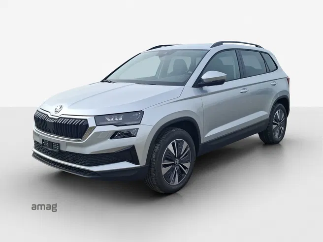 Škoda Karoq Dynamic (Netto)