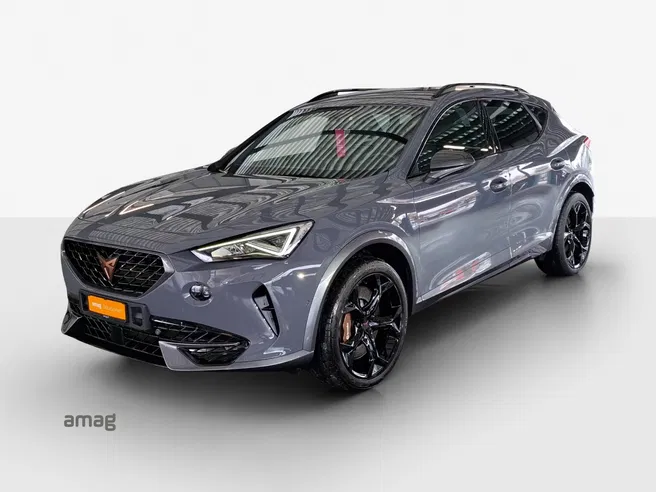 Cupra Formentor VZ 2.0TSI 310PS 7D 4