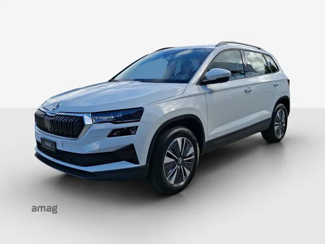 Škoda Karoq Dynamic (Netto)