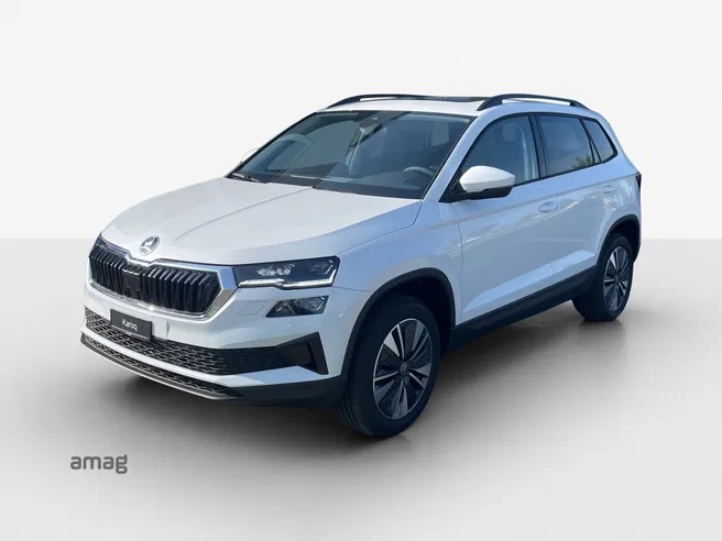 Škoda Karoq Dynamic (Netto)