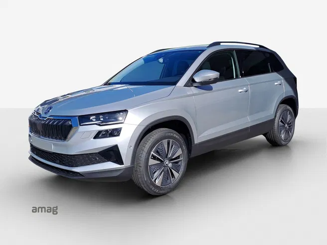 Škoda Karoq Dynamic (Netto)