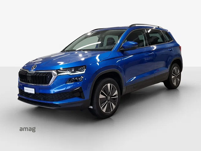 Škoda Karoq Dynamic (Netto)