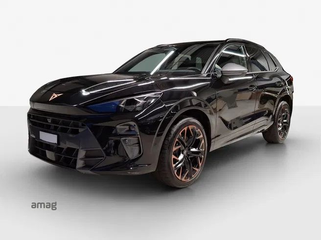 Cupra CUPRA TERRAMAR 4DRIVE